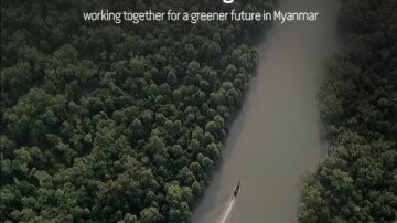 The Vanishing Forest