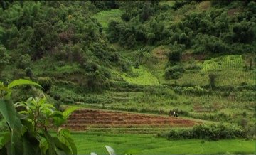 a farmers tale Yangonfilmschoo