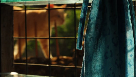 Bungkus -yangonfilmschool24