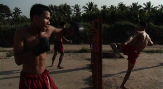 Into The Ring YFS 3