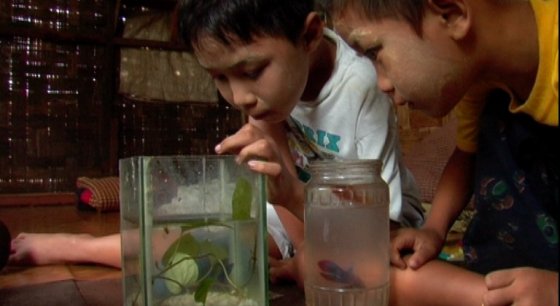 PieceofEden-Yangonfilmschool3