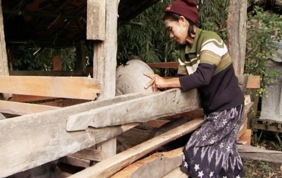 The Merry Widows Of Nam Mun