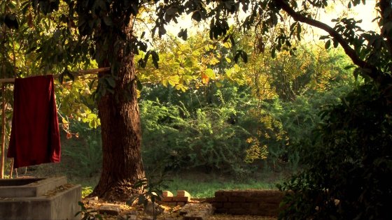 Amhya - Share-yangonfilmschool11