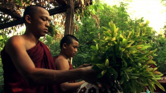 Amhya - Share-yangonfilmschool7
