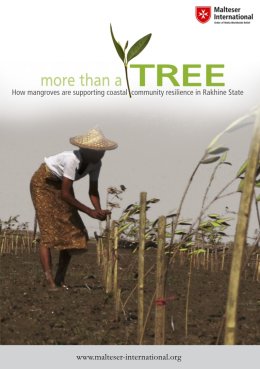 MTAT DVD Cover