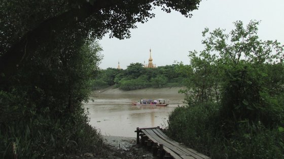 The Crocodile Creek