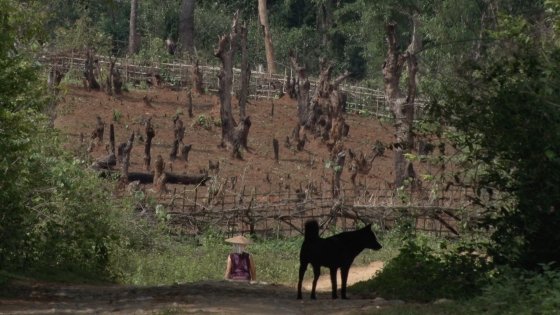 32 Souls-yangonfilmschool11