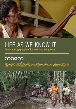 Life As We Know It DVD Cover
