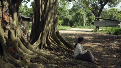 The Banyan Tree