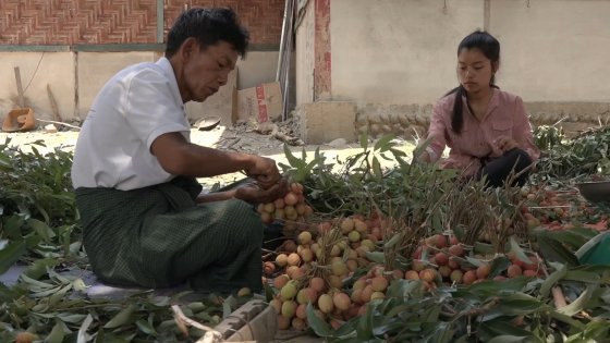 Kachin Reporter YFS 04