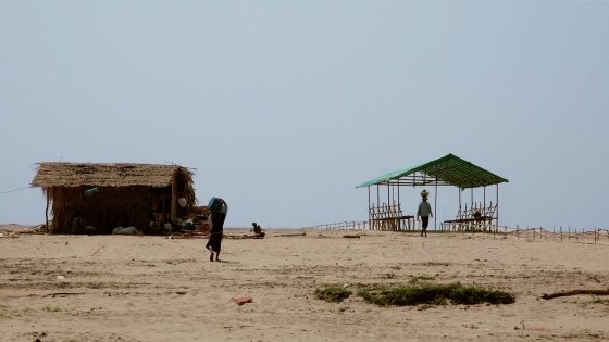 Shifting Sands