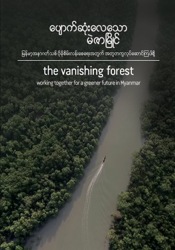 The Vanishing Forest