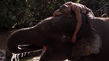 Living with Elephants