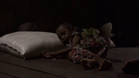 Living with Elephants 07