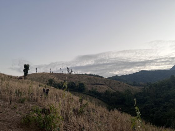 image00008